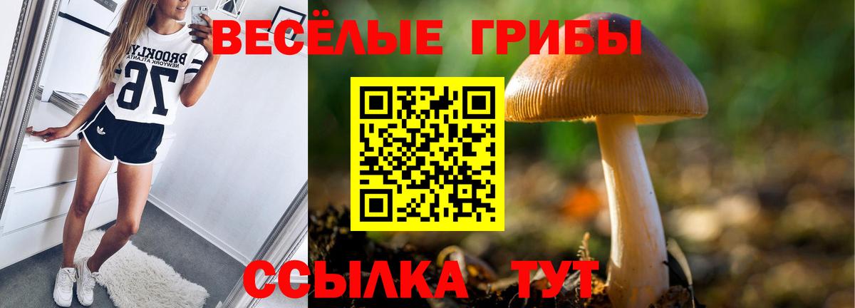 Галлюциногенные грибы GOLDEN TEACHER Знаменск